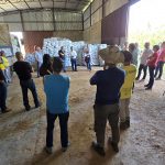 BENEFÍCIO: PREFEITURA DE SABARÁ DISTRIBUI 300 TONELADAS DE ADUBO PARA AGRICULTORES DO DISTRITO DE RAVENA