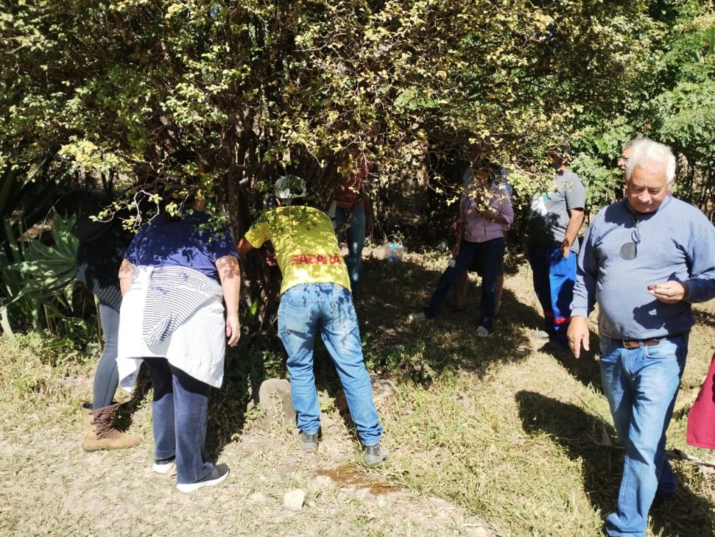 MEIO AMBIENTE: MANEJO DE POMAR E DE JABUTICABEIRAS É TEMA DE CAPACITAÇÕES REALIZADAS EM SABARÁ
