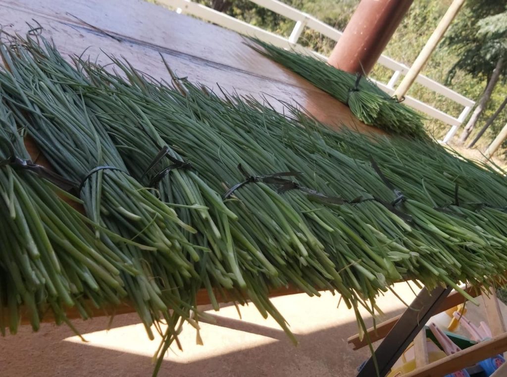 MEIO AMBIENTE: ALIMENTAÇÃO ESCOLAR E AGRICULTURA FAMILIAR EM SABARÁ ALCANÇAM RESULTADOS POSITIVOS NO PNAE
