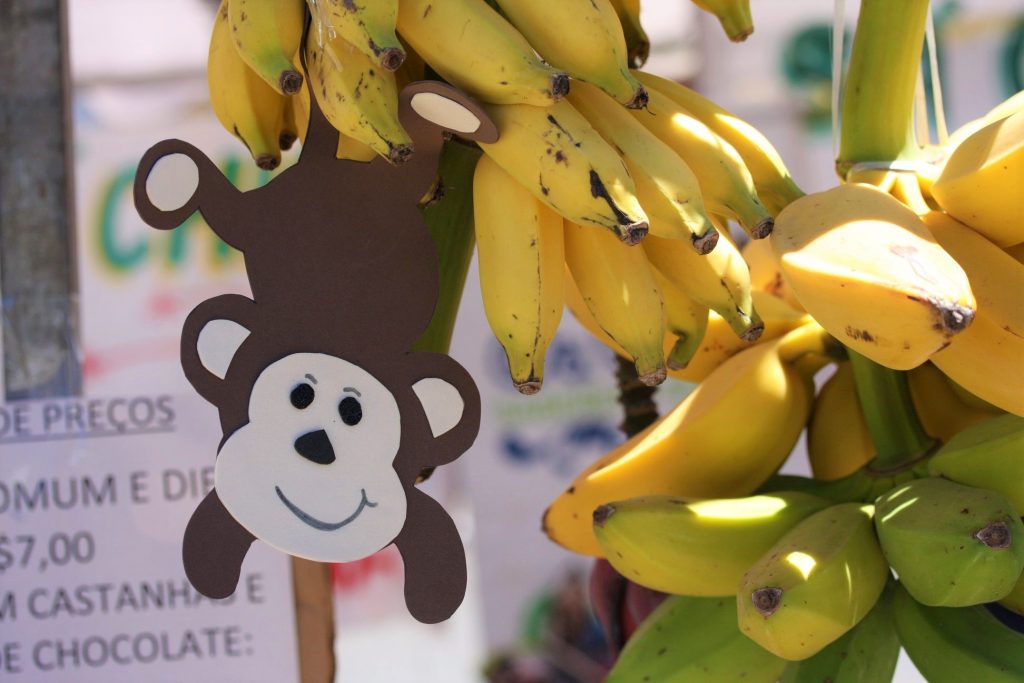 ALIMENTAÇÃO: AGRICULTORES FAMILIARES DE SABARÁ SÃO SELECIONADOS NO PNAE PARA FORNECER ALIMENTOS DE HORTIFRUTI A ESCOLAS ESTADUAIS