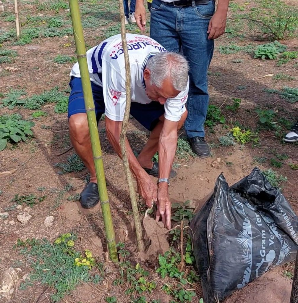 21 DE SETEMBRO - DIA DA ÁRVORE: AÇÕES PARA CELEBRAR A DATA SÃO REALIZADAS ÀS MARGENS DO ENCONTRO DOS RIOS SABARÁ E DAS VELHAS