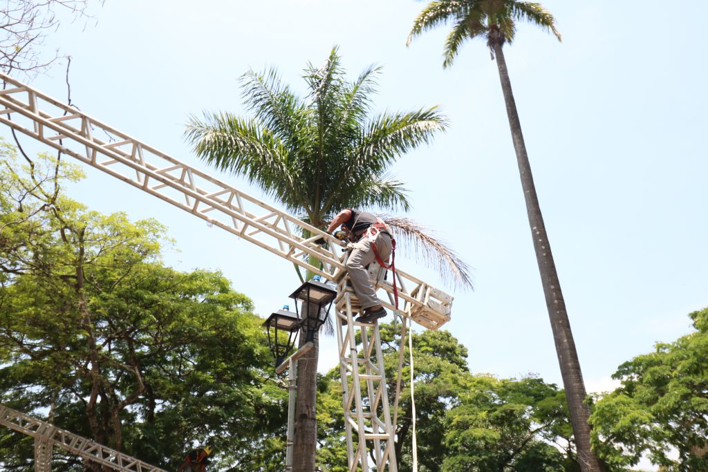 37º FESTIVAL DA JABUTICABA: ESTRUTURAS PARA REALIZAÇÃO DO EVENTO COMEÇAM A SER MONTADAS NA PRAÇA MELO VIANA