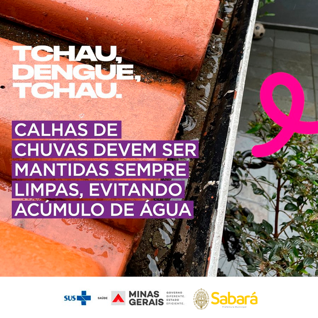 TCHAU, DENGUE, TCHAU.