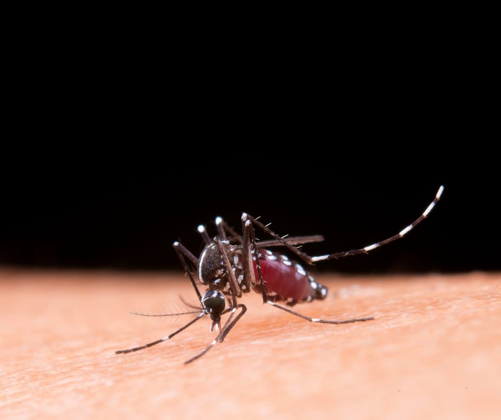 SAÚDE: PREFEITURA DE SABARÁ DECRETA SITUAÇÃO DE EMERGÊNCIA POR CAUSA DA EPIDEMIA DE DENGUE