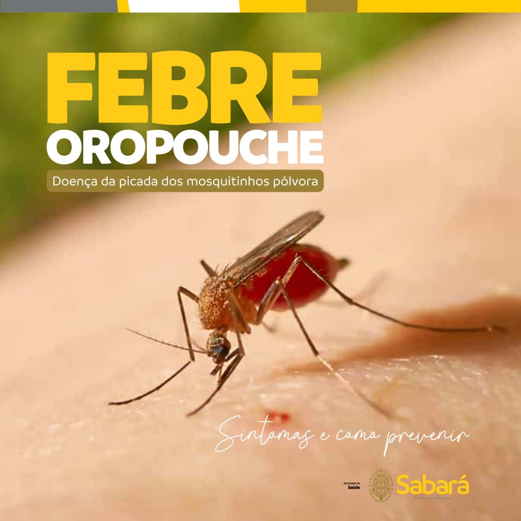 FEBRE OROPOUCHE: CONHEÇA OS SINTOMAS E COMO SE PROTEGER DESTA DOENÇA PARECIDA COM A DENGUE