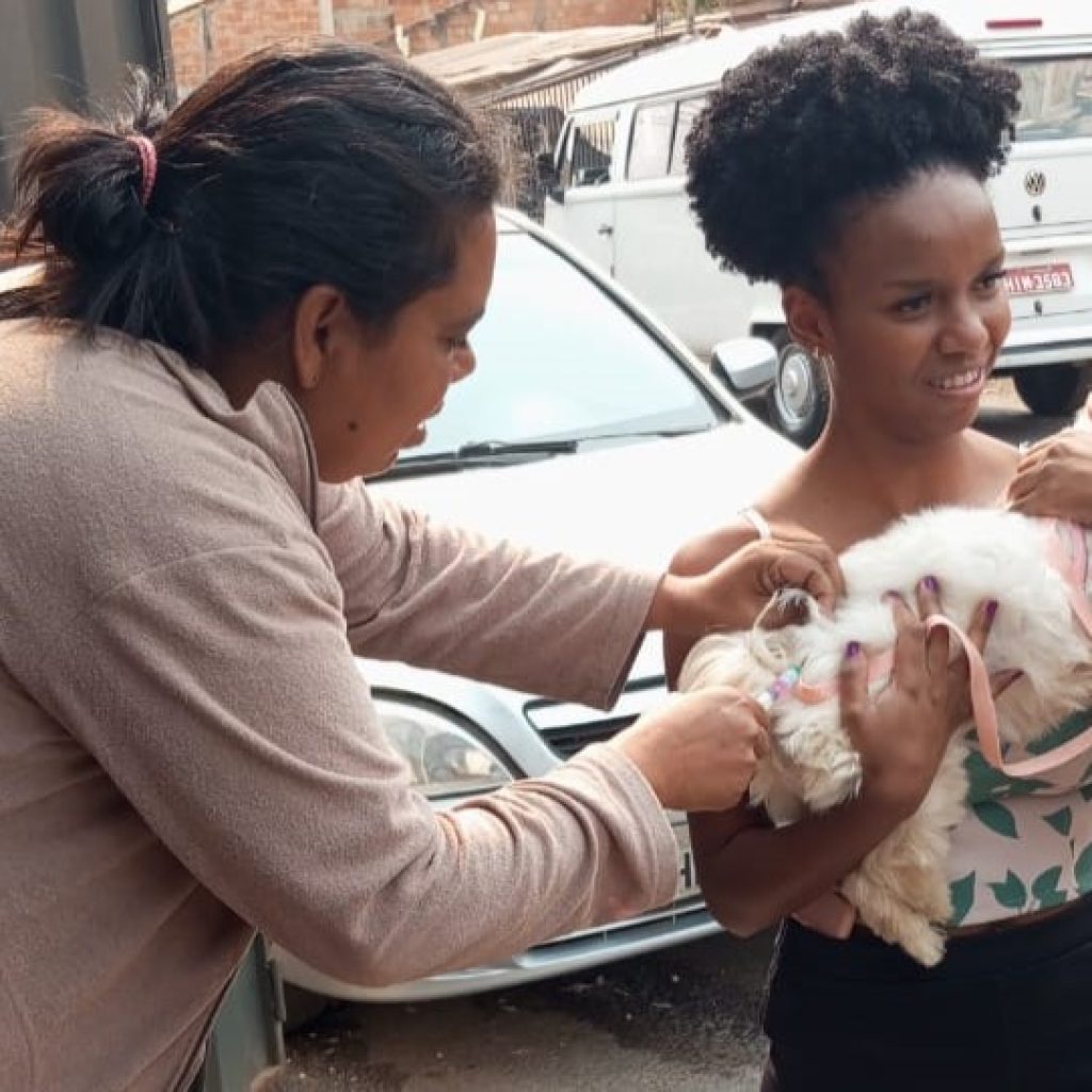 SAÚDE: CAMPANHA DE VACINAÇÃO ANTIRRÁBICA 2024 EM SABARÁ PROTEGE MAIS DE 14 MIL ANIMAIS