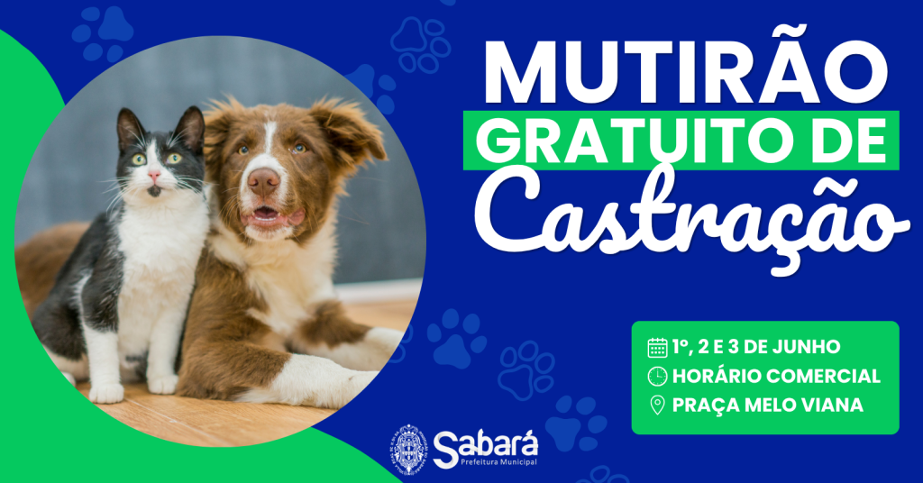 SAÚDE ANIMAL EM FOCO: SABARÁ REALIZA MUTIRÃO DE CASTRAÇÃO COM 300 ATENDIMENTOS