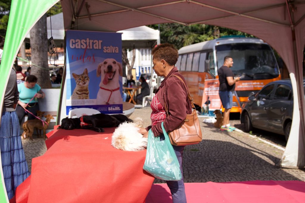 PREFEITURA DE SABARÁ AMPLIA CUIDADO COM OS ANIMAIS E CASTRA MAIS DE 300 CÃES E GATOS